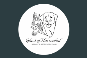 Ghost of Harrenhal